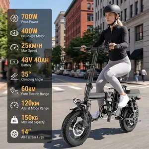 Adult Electric Bicycles 500W Peak Power Foldable with Detachable Batteries 20mph Commuter 48V15AH 60KM Range High-Strength Front Loading Frame Flat Pedals
