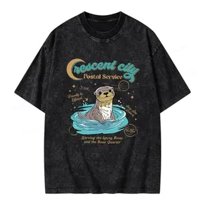 Crescent City Postal Service Acid Wash Tee, Fantasy Book Shirt, Bookish Tee, Reader Shirt, SJM Shirt, Fantasy Tee, Vintage Tee, Aesthetic Shirt, Oversized Tee, Trendy Graphic Shirt