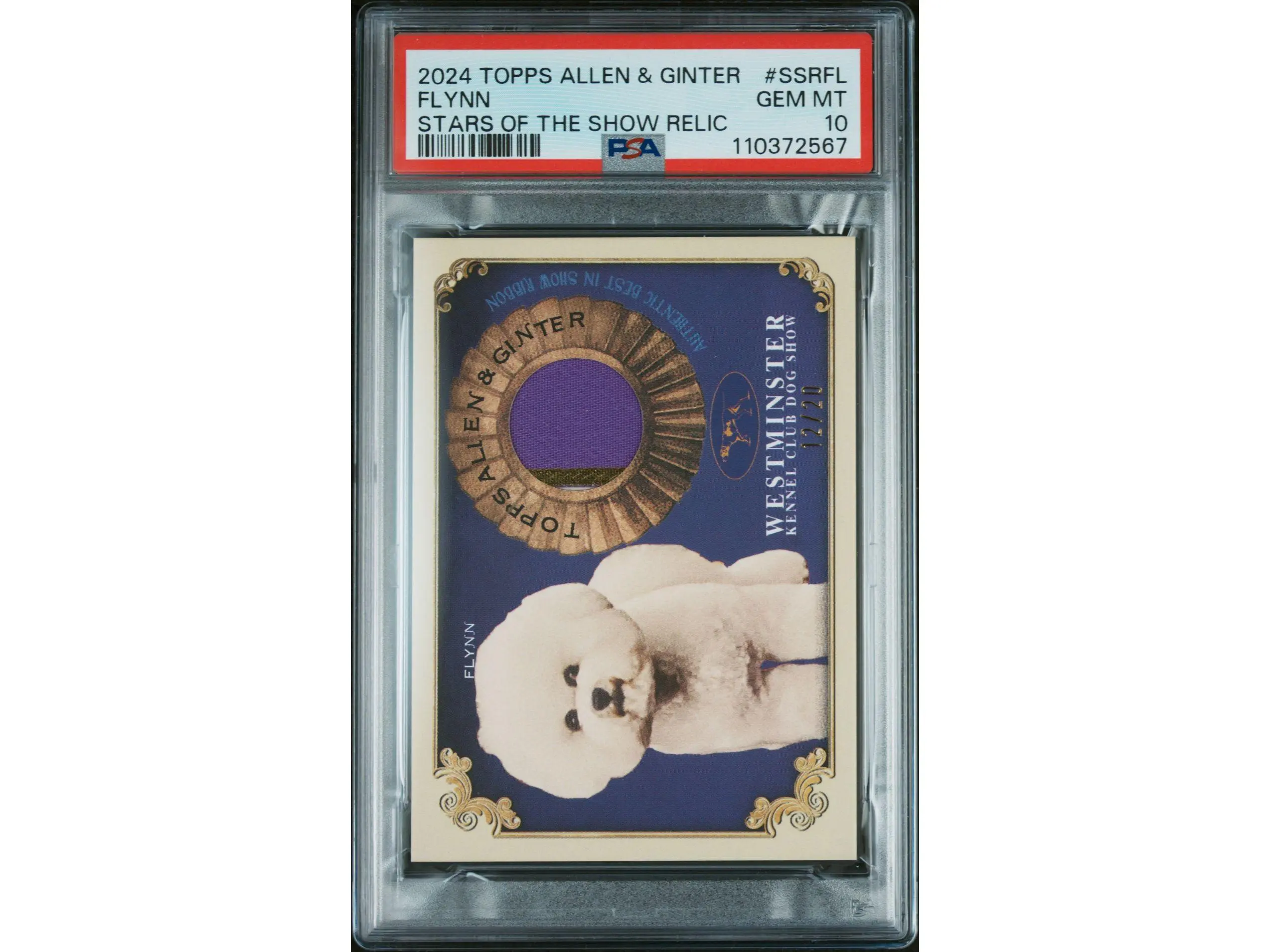2024 Topps Allen & Ginter Stars of the Show Relics Flynn #SSRFL /20 PSA 10