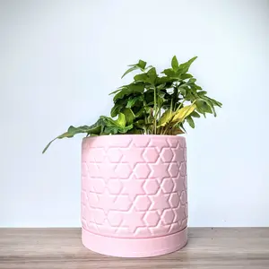 ChiclyBuilt Star Pattern Plant Pot with Matching Drain Tray