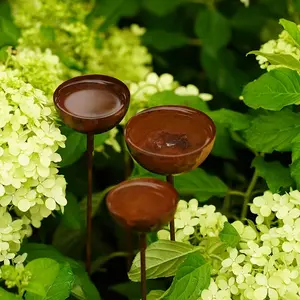 3pcs Set: Rusty Bird Bath (66.5 Cm), Bird Feeder and Butterfly/bee Water Dispenser, Rainwater Collector, Outdoor Decorative Stake, Rustic Garden Bowl, Garden Iron Art Decor, Gift for Bird Lovers, Bird Supplies