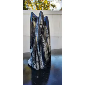 Xl 7 orthoceras limestone statue! 4.9 pounds, 8.5 inches tall 3.3" wide