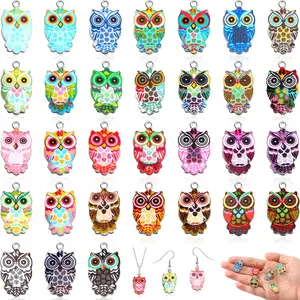 62 Pieces Halloween Owl Enamel Charms for Jewelry Making Colorful Owl Charms