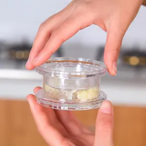 1pc Garlic Press, Kitchen Grinding Mill, Ginger Garlic Crusher, Multifunction Garlic Press, Garlic Peeler, Kitchen Accessories, Kitchen Utensils, Kitchen Gadget, Random Color