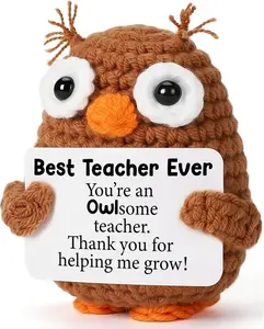 Thank You Teacher Appreciation Gifts for Teacher Coworker Mentor, Positive Crochet Owl Birthday Graduation Retirement Leaving Going Away Gift for