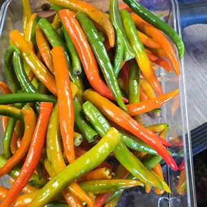 Sweet Fire Infused Oil