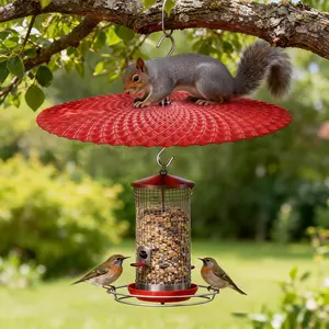 11.42-Inch Hanging Bird Feeder Protector, Rain Cover, Squirrel Fence, Hummingbird Feeder Shield, Outdoor Garden Patio Use