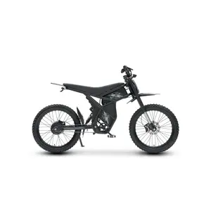 Riding Times GT73 Electric Bike Riding Times GT73 Electric Bike