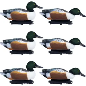 Final Approach Live Fully Flocked Northern Shovelers Floating Duck Decoys, 6 Pack