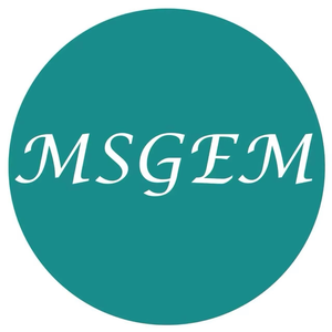 MSGEM HAIR