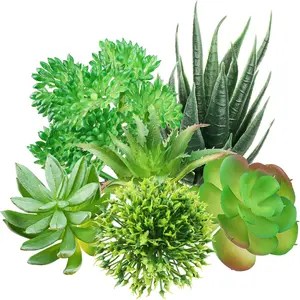 Green Succulent , 6 count Mini    for DIY Crafting  Floral Wall Office Decoration (excluding pots)