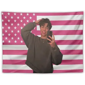 Tapestry Suitable For College Dormitories, Kitchen, Living Rooms, Background Decorations Flag Poster Gift Merch 30"X40"