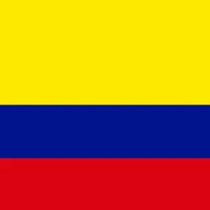 Custom Colombian Flag Print Bonnet