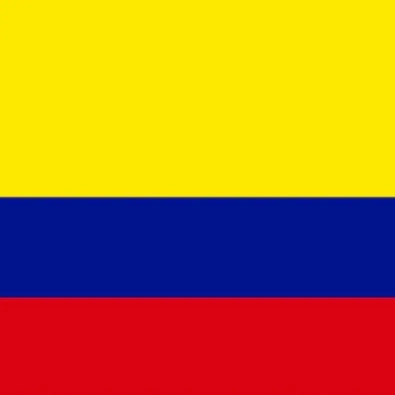Custom Colombian Flag Print Bonnet