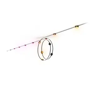 Hue White and color ambiance Festavia permanent outdoor lights 90 ft black string