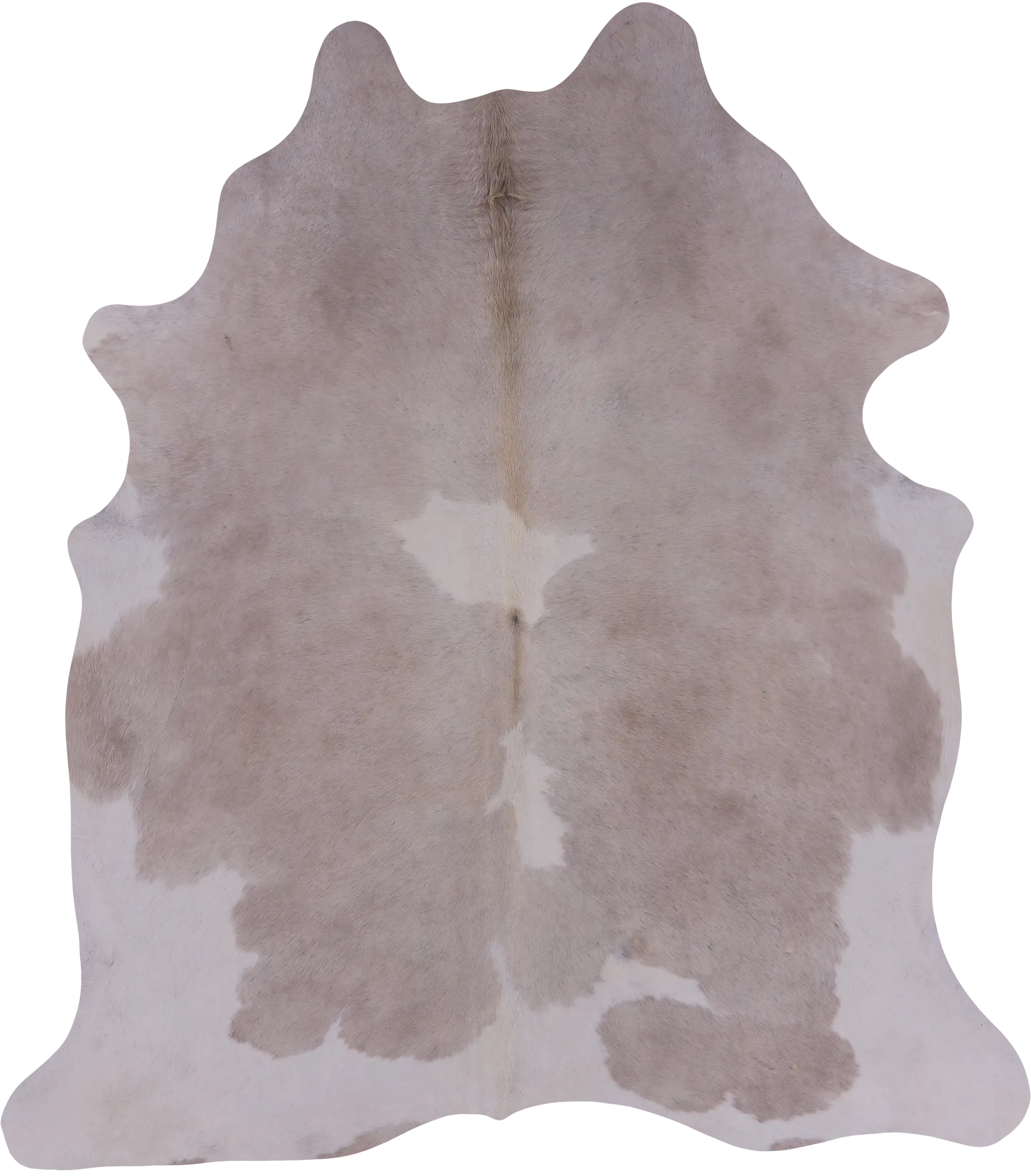 SUPER SALE Beige Natural Cowhide Rug - Large 6' 6"H x 5' 8"W