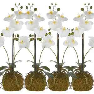 RAZ Imports 23.75" Real Touch White Orchid Flower with Moss Ball - Set of 4
