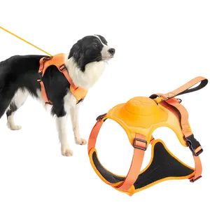 LittlePawz FreeWalk Harness
