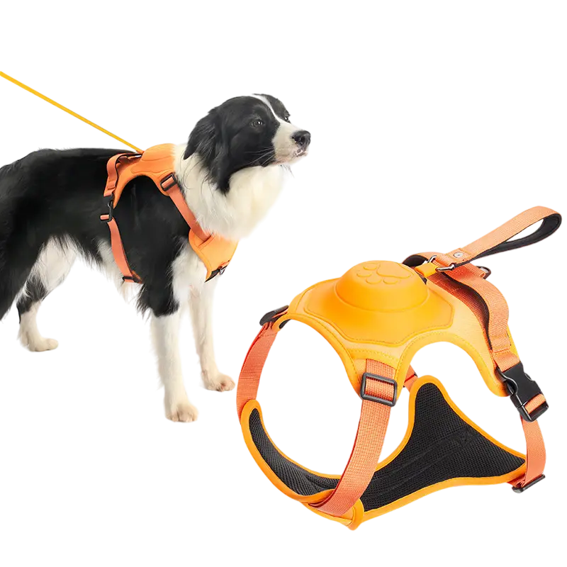 LittlePawz FreeWalk Harness