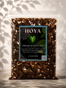 Hoya Mix — Airy, Fast-Draining Potting Mix for Hoya | Soilless