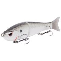 White Shad