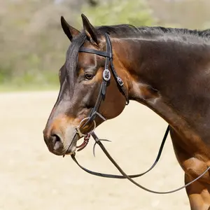 Billy Royal Black Leather Browband Headstall