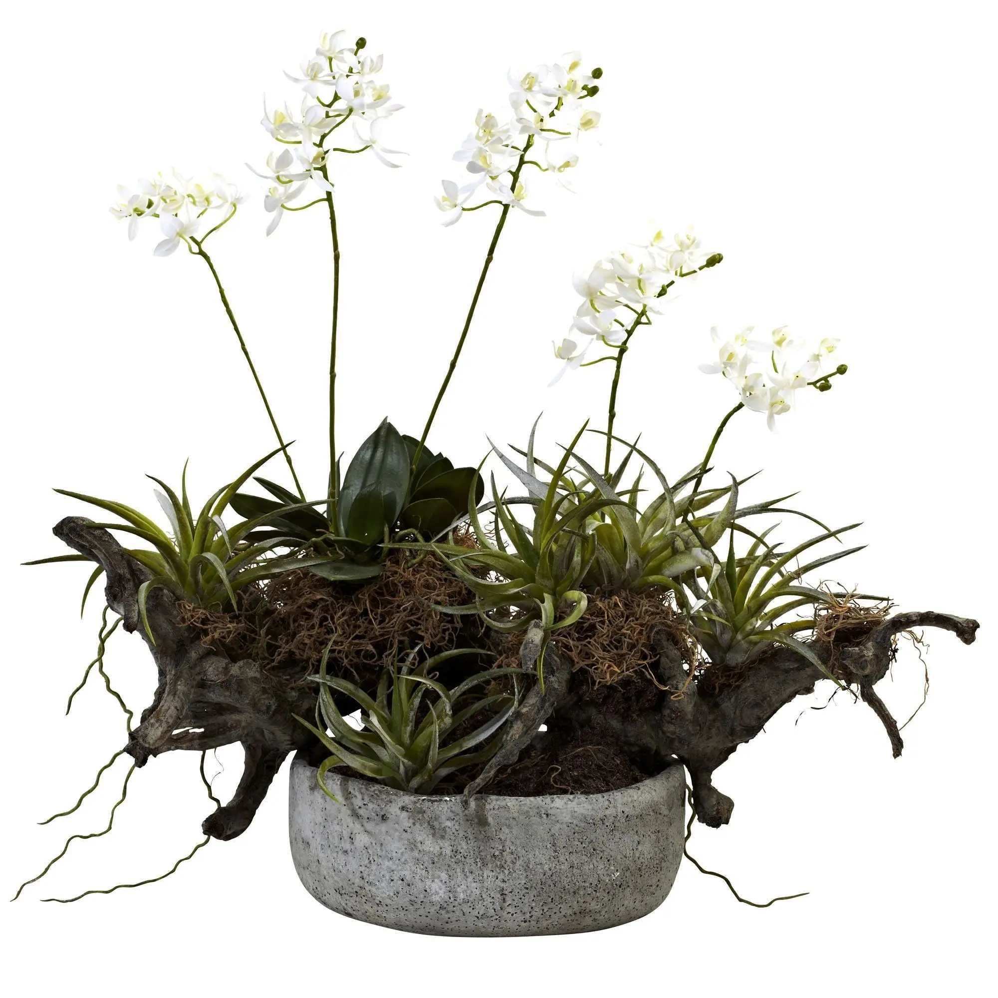 Decorative Flower Pot with Driftwood - Indoor Pots for Plants, Orchid & Succulent Container for Home Garden Decor