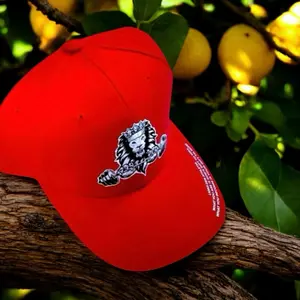 Lions DenAthletix Red Baseball Cap with Lion Logo - Stylish and Comfortable for Everyday Wear