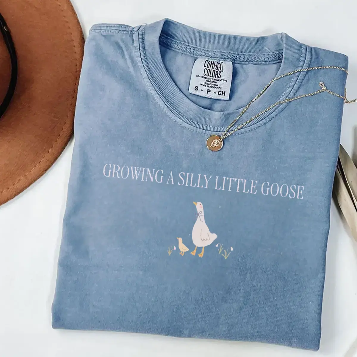 Silly Goose Pregnancy Shirt, Pregnancy Announcement to Husband, First Time Mom Gift, Comfort Colors Pregnancy Shirt, Expecting Mom Gift - Gen X Shirt USA