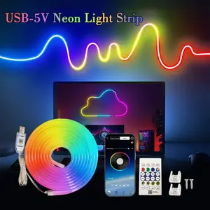 USB Powered 5v Rgbic Smart Neon Light Strip, APP + IR Dual Control, Flexible Bendable LED Strip for Living Room TV Background Cabinet Hallway