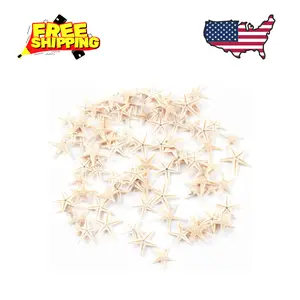 Tiny Miniature Fairy Garden Beach Critter Starfish, 90 Pieces