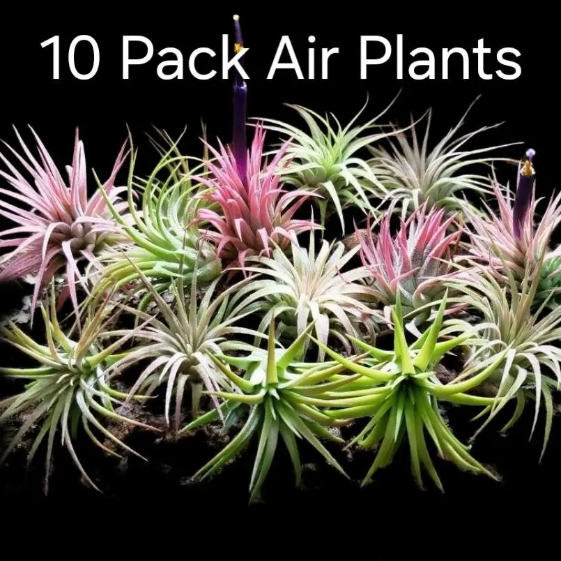 led grow light for indoor plants Sunco LED Grow Light, 750W, 3000K Full Spectrum, ROI-E720 3000K