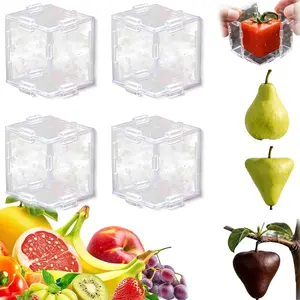 2026 New Fruit Shape Molds, 4-Piece Creative Fruit Mold Set, Triangle and Cube Shapes, Ideal for Tomatoes Strawberries, Star Heart Square Fruits