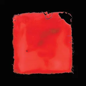 Last Chance To See - Salvia Palth - Record Album, Vinyl LP