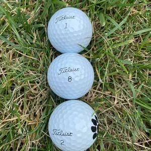 Titleist Prov1 Golf Balls - Premium Quality for Enhanced Performance