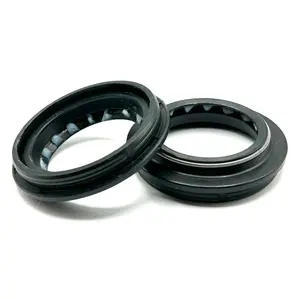 SKF Fork Seals for Fast Ace and RFloXa