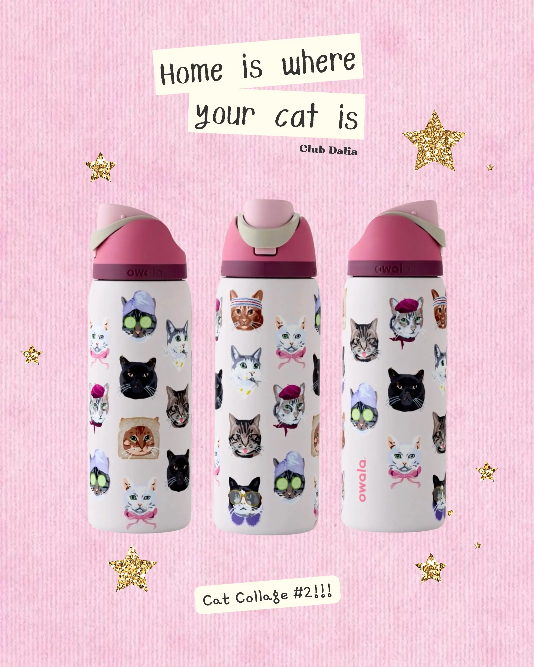 Owala Exclusive Catowala FreeSip 0.9L / 32oz Water Bottle