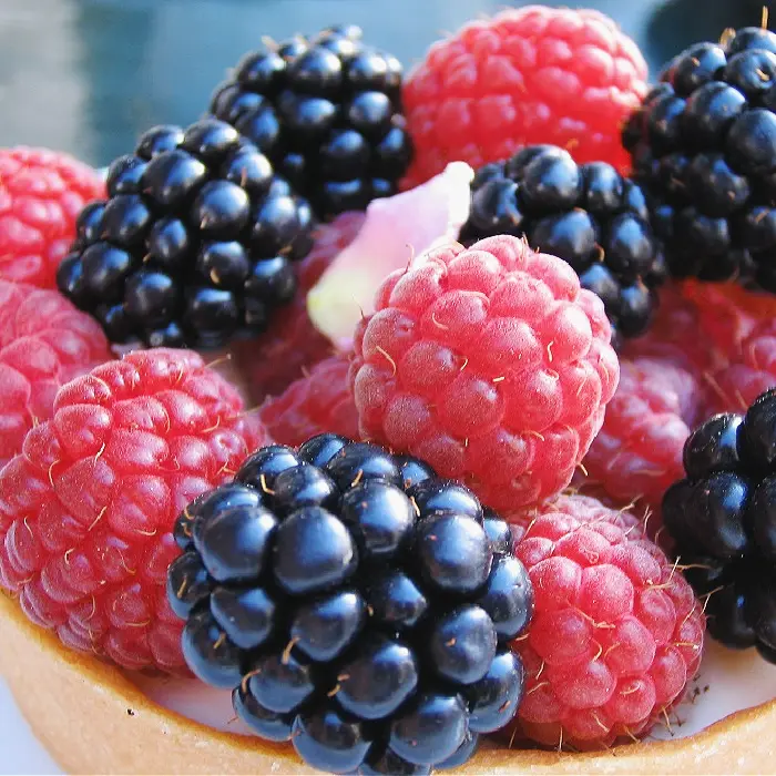 Black Raspberry Vanilla - Premium Fragrance Oil