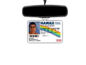 McLovin License ID Superbad Funny Gift Hanging Air Freshener for Cute Car Decor
