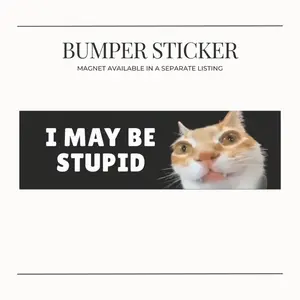 BUMPER STICKER Funny Meme Brainrot Cringe Cat Car Magnet - I MAY BE STUPID Humorous Cat Décor for Cat Meme Lovers & Owners Vehicle Decal