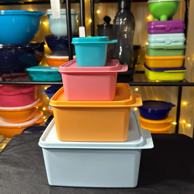 Tupperware Practi Refri Set
