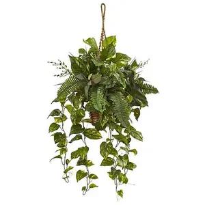 Nearly Natural 46" Mixed Pothos and Boston Fern in Hanging Basket