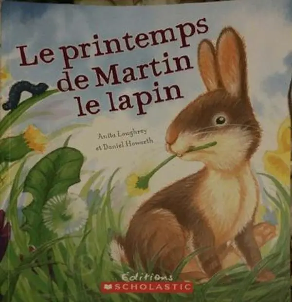 USED-Rabbit's Spring Adventure by QED Publishing (Hardcover)