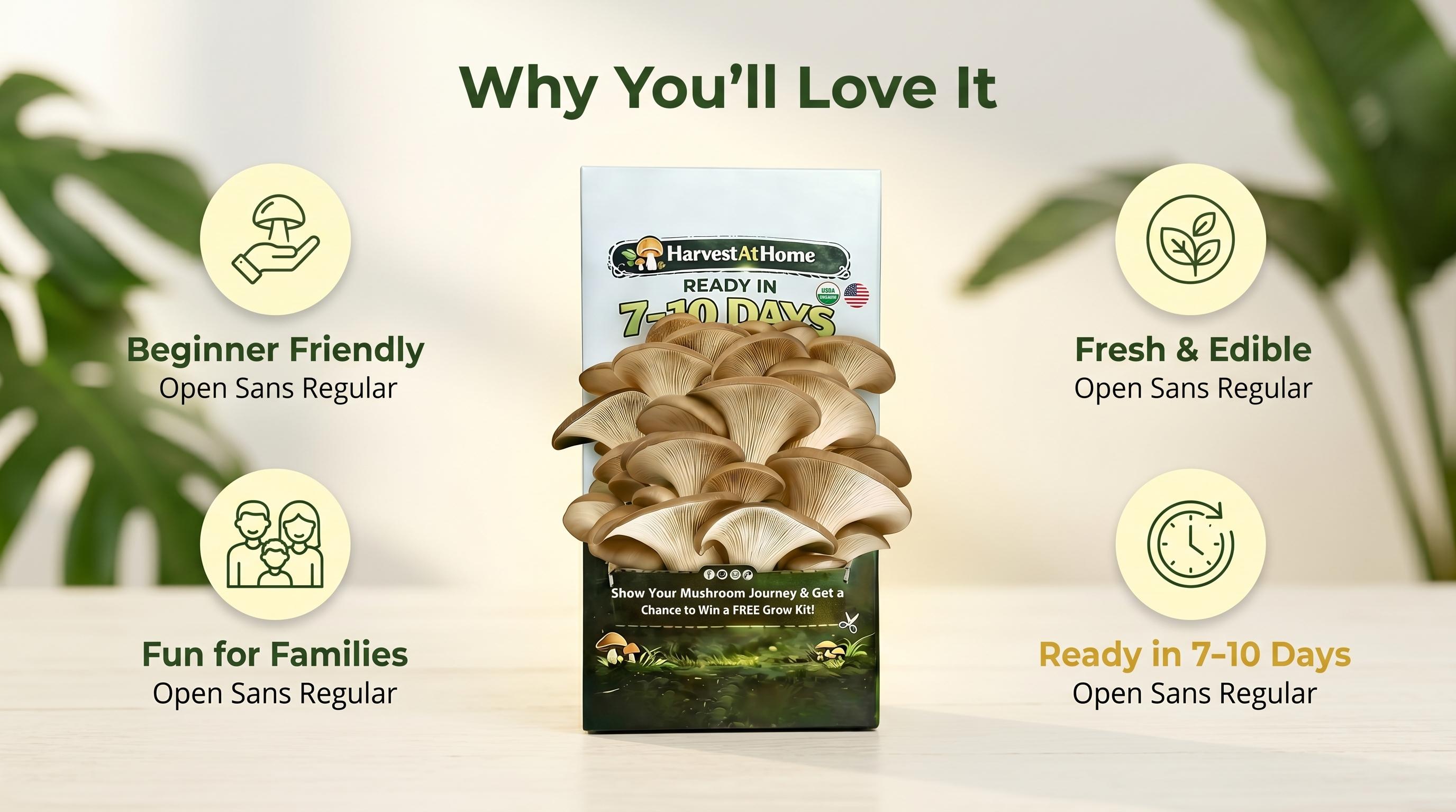 HarvestAtHome Certified USDA Organic Mushroom Kit 3-Pack (3.5lb) - Pure Mycelium Healthy Edible Fungi, 1-7 Days Fast Growth, Interactive Visual Experience, Food for Adults, Made in USA, All Seasons