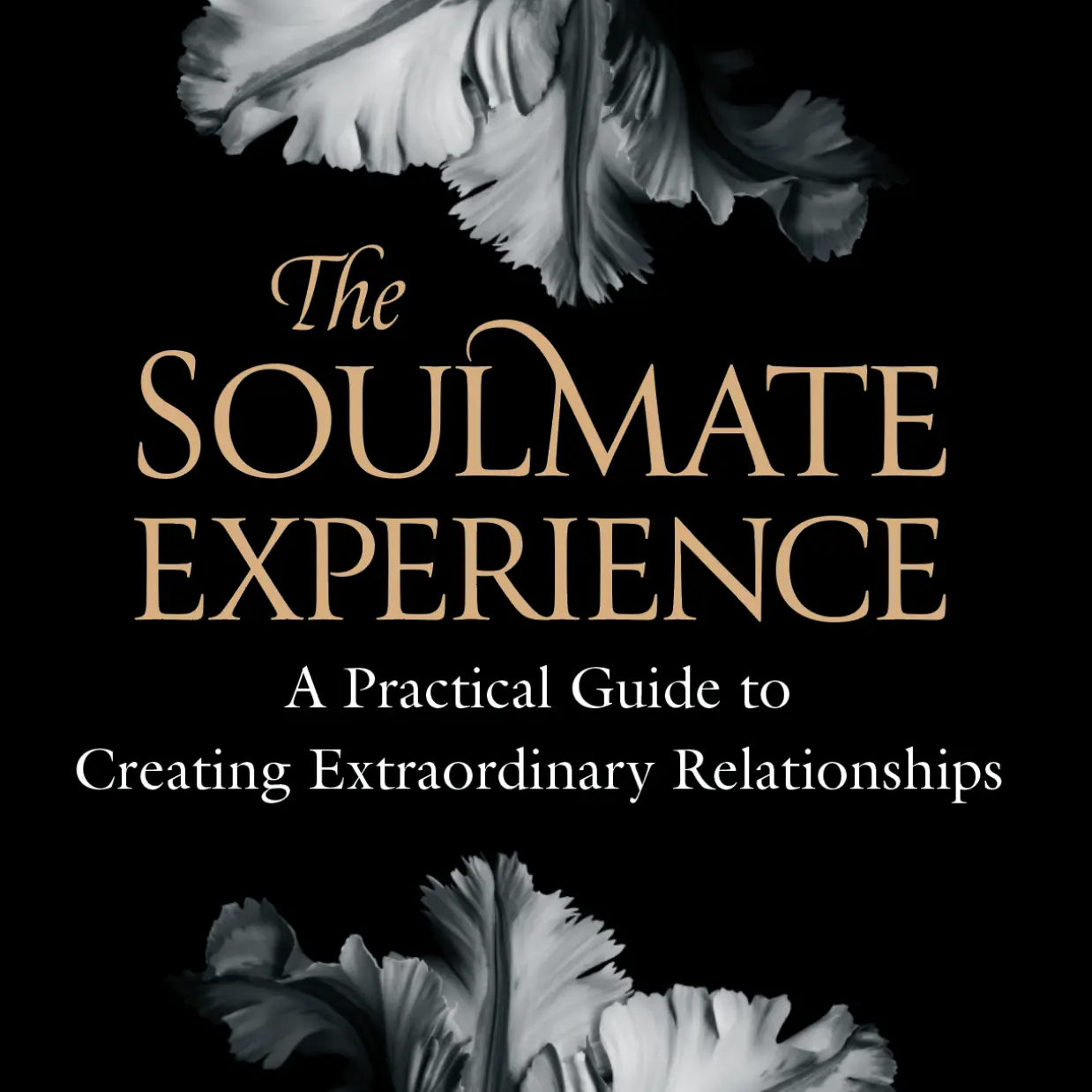 The Soulmate Experience: A Practical Guide to Creating Extraordinary Relationships SIGNED soft cover book