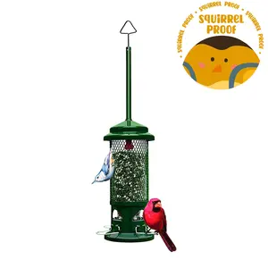 Squirrel Buster Standard Feeder