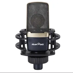 Large Diaphragm Microphone Audio Interface for Recording and Singing with 48V Phantom Power