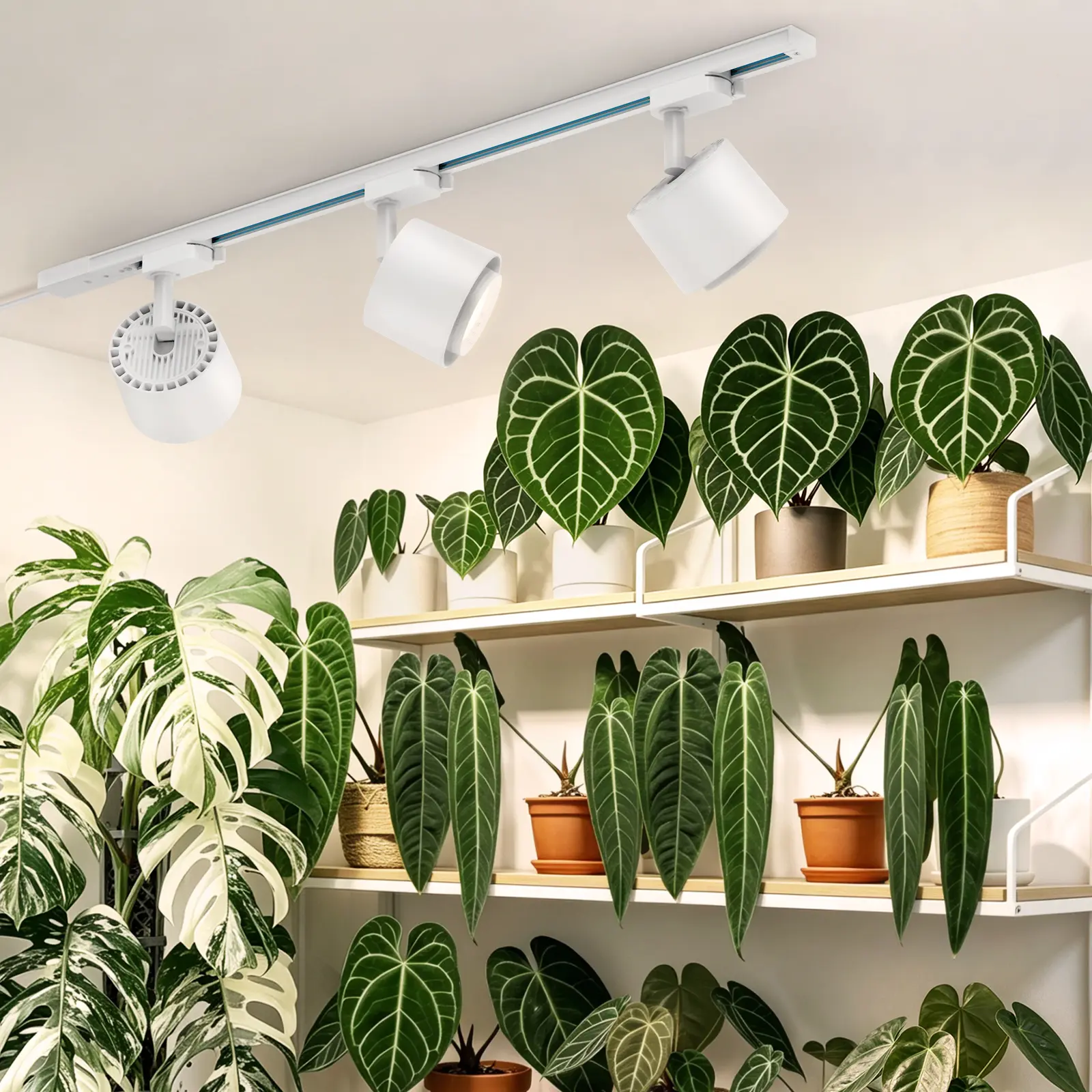 Barrina TR40c Track Grow Light for Indoor Plants, 15°-60° Adjustable Beam Angle, 3 x 40W, 4000K Full Spectrum LED Plant Lights, Plug in Ceiling Mounted Grow Bulbs for H-Type Track with Timer, White