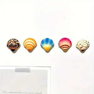 Seaside Seashell Fridge Magnets - 5pcs Cute Decorative Magnetic Stickers for Kitchen, Office, and Monthly Planner Use