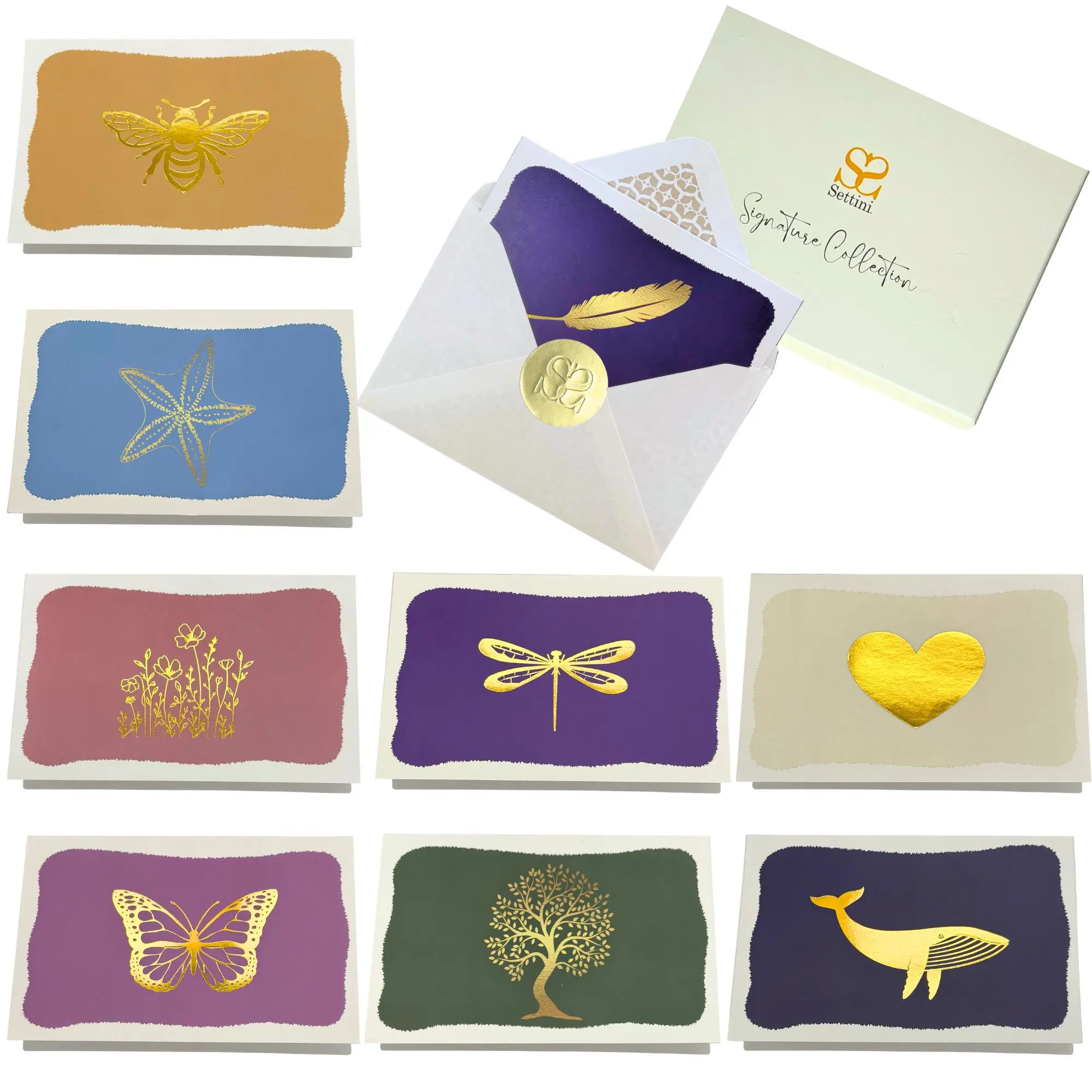 SETTINI® All Occasion Greeting Cards with Envelopes, Assorted Boxed Set